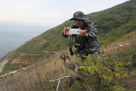 为何大连蛇岛上的蛇进化得越来越凶猛？需要彻底消灭这个岛屿吗？图片