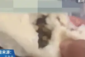 老板故意将馒头掰烂给顾客，却获百万网友点赞图片
