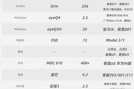 这十块芯片 撑起了半个自动驾驶帝国图片