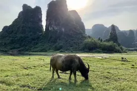 歌海宜州，三姐故里图片