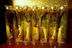 广东人有多野？黄蜂酒、蚂蚁酒、鹿鞭酒，泡酒才是粤酒精髓图片