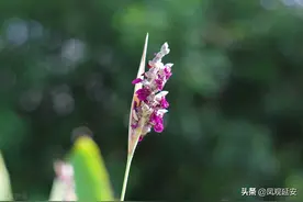因为一首诗，爱上了一个人图片