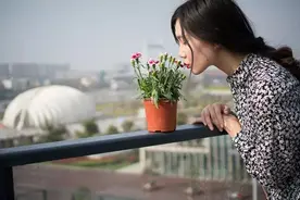 沉迷“花花世界”的41岁妈妈，她凭什么活得那么爽？图片