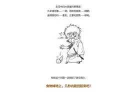 食物掉地上，几秒之内捡起来还能吃？有人做了2000多次试验……图片