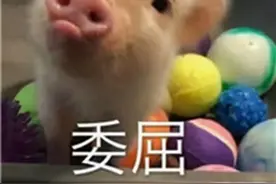手术前，为啥要刮掉私处毛毛？手术时割掉的“肉”哪去了？扒一扒手术室的小秘密图片