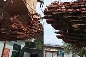 贵州出现巨型马蜂窝，居然靠吊车才能搬动，怎么会长到这么大？图片