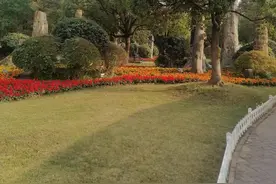 徐州云龙公园美景如画图片