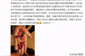 又一个！男子向飞机投掷硬币，连累148名旅客，网友：咋不御剑飞行图片
