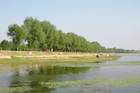 大汶河湿地公园—徂徕山景区，周末自驾游的好去处图片
