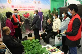 品牌农业·新品种 | 农高会上邂逅"晓文一号"大樱桃图片