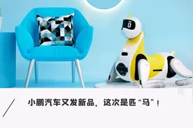 小鹏发布可骑乘「智能马」！可聊天可取快递，长相太奇葩图片