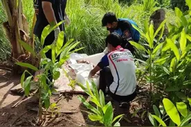 75岁阿公与情妇幽会时猝死？赤身裸体躺自家后院图片