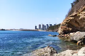 最美大连之七贤岭森林公园图片