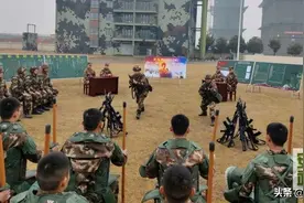 武教头，开练！图片