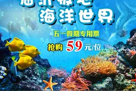 临沂极地海洋世界五一特惠，门票仅59元，假期一起来这里放肆嗨玩吧！！！图片