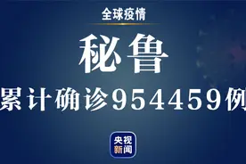秘鲁新增新冠肺炎确诊病例660例 累计确诊954459例图片
