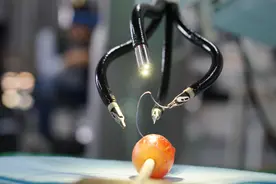 生剥鹌鹑蛋、缝合葡萄皮……来看这家企业的机器人手有多巧图片