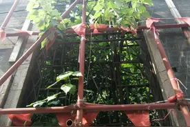“一代赌王”的广州旧居，与音乐才子“黄霑”故居为邻，现状如何图片