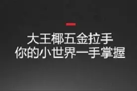 新品上市 | 大王椰精品拉手定义“新精致生活”图片
