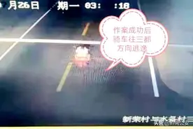 亲爱的，那真不是爱情图片