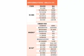 岳阳市房地产企业(国内名企和本土房企)开发项目一览表图片