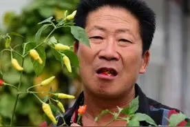 “中国辣王”李永志：每天吃5斤辣椒配白酒，如今还笑得出来吗？图片