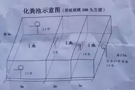 养殖规模100头生猪化粪池示意图 值得参考图片