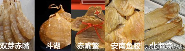 花胶300块一斤正常吗 2026年花胶300块一斤正常吗图片