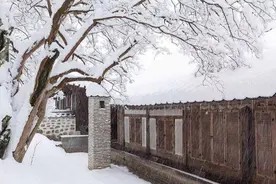 落雪了，2020就要远去，愿你在新的一年一切安好图片