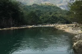 四川特有的“鲤鱼”，只生活在山区，大多数人不知道它的存在图片