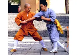 少林秘宗擒腕术：重创敌手，使其丧失反抗能力的综合性格斗擒拿法图片