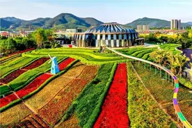 新增2个国家3A级旅游景区！肇庆这个地方正建设旅游特色小镇！是你的家乡吗？图片
