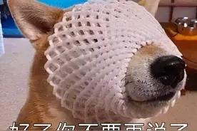 雅思口语新题Wallet讲解：Vicky亲自写答案，祝你们钱包鼓鼓图片