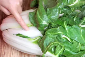 春天，无论贫富都要吃这菜，富含胶原蛋白，清新爽口又下饭图片
