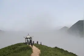 假设在唯物主义国家，灵气复苏了图片