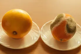 「十秒问题5」发霉的东西洗洗能吃吗？吃了又会怎么样？图片