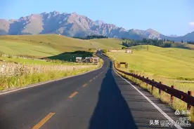汉中人游新疆，一起看天山下的麦海——江布拉克图片