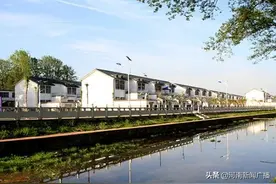超火！河南的好多移民村靠这个富了起来图片