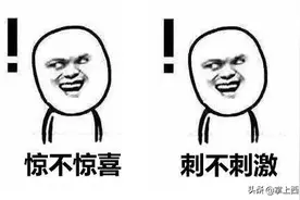 西宁有人“遛老虎”？得知真相的我笑出了声...图片