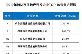 潍坊市九大房地产开发企业，实力就是品牌图片