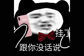 表情包：挂了 跟你没话说图片