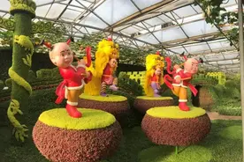 刚刚，寿光菜博会大批内部照片流出....太牛了！图片
