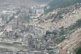 汶川地震猪坚强：被埋36天成"活文物"，住一室一厅，还有专人伺候图片