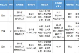 9.17，蜀山主城3宗全优配地块图片