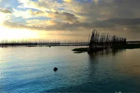 中原最美湿地——宿鸭湖的记忆图片