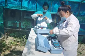 高温下的劳动者——阳逻供水公司化验工图片