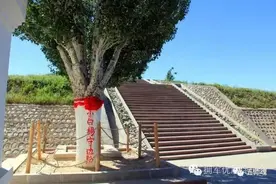 军旅歌曲《小白杨》背后的故事图片
