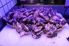 为什么几十元的自助餐稳赚不赔？服务员透漏其中猫腻，满满的套路图片