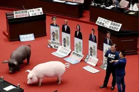 被160多个国家禁止的“二代瘦肉精”，为什么美国偏偏要用它？图片
