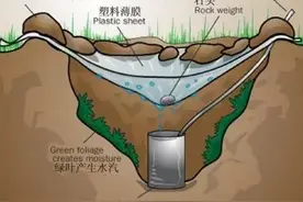 迷失沙漠又喝光了所有的水只能等死？挽救生命的三种方法教给大家图片